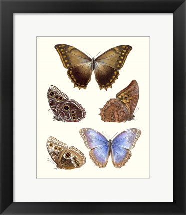 Framed Violet Butterflies I Print