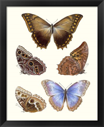 Framed Violet Butterflies I Print