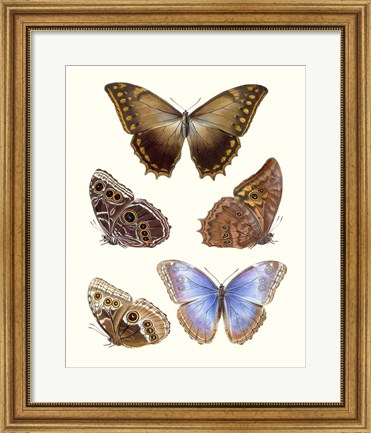 Framed Violet Butterflies I Print