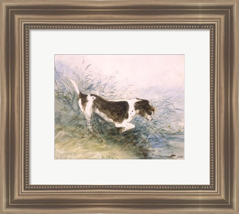 Framed Dog Watching a Rat in the Water Print