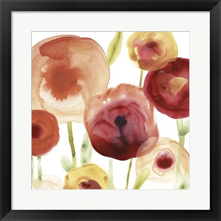 Framed Poppy Patch II Print