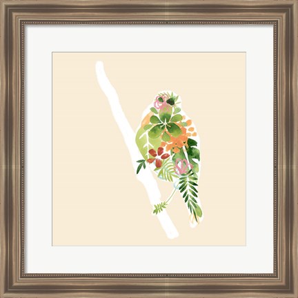 Framed Foliage &amp; Feathers III Print