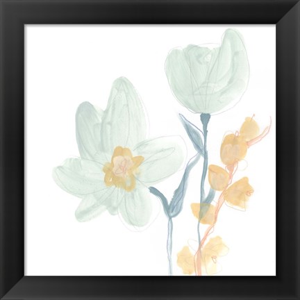 Framed Petite Petals IX Print