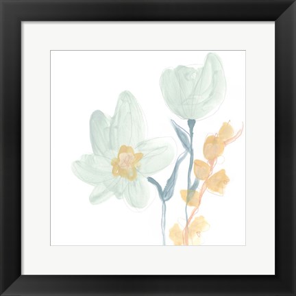 Framed Petite Petals IX Print