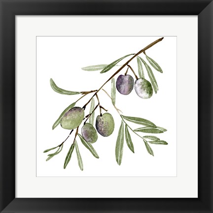 Framed Olive Branch I Print