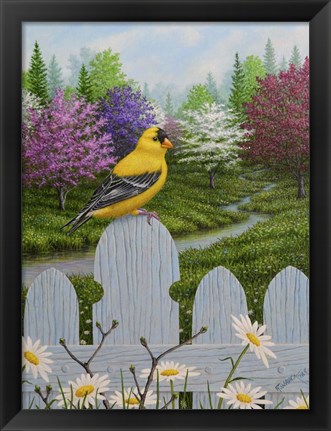 Framed Goldfinch and Daisies Print