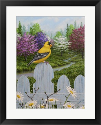 Framed Goldfinch and Daisies Print