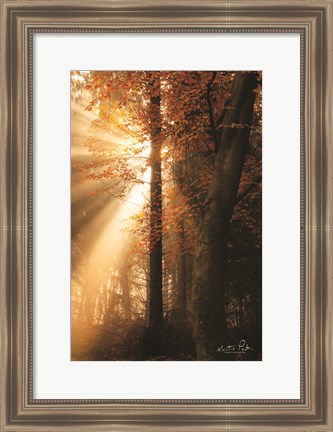 Framed Best of Autumn Print