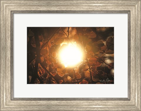 Framed Into the Sun Print