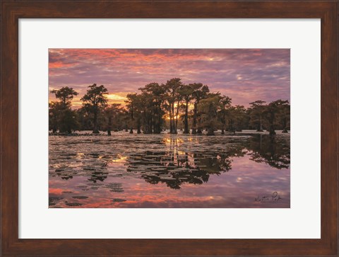 Framed Sundown in the Swamps Print