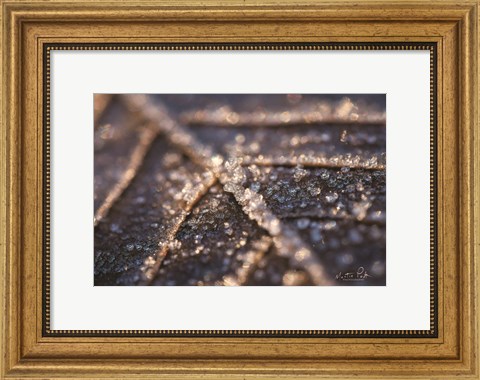 Framed Frozen Leaf Print