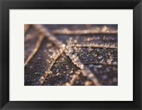 Framed Frozen Leaf Print