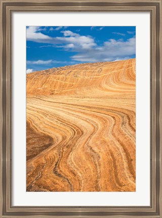 Framed Coyote Buttes V Print