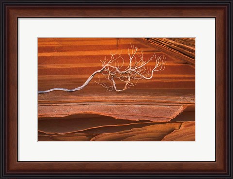 Framed Coyote Buttes III Print