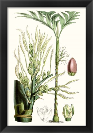 Framed Tropical Plants III Print