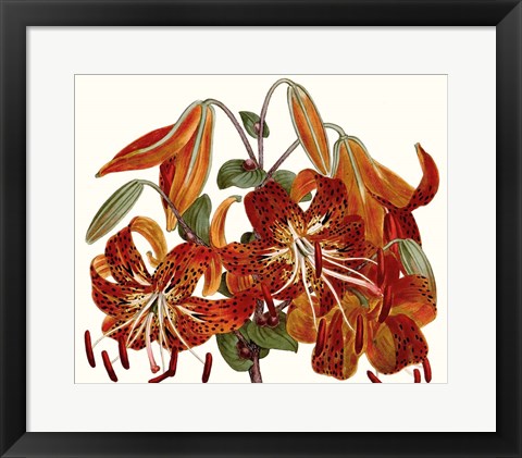 Framed Striking Coral Botanicals II Print