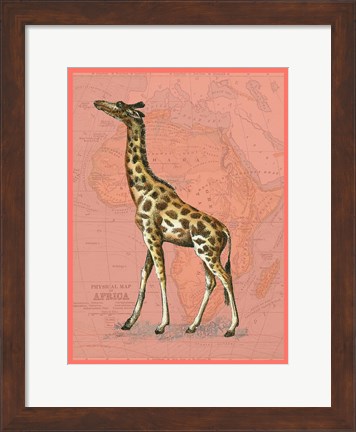 Framed African Animals on Coral II Print