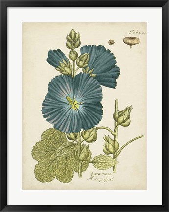 Framed Eloquent Botanical IV Print