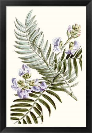 Framed Graceful Botanical IV Print