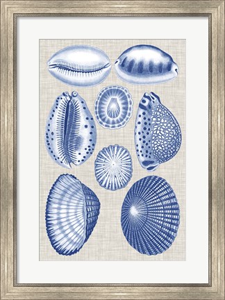 Framed Navy &amp; Linen Shells I Print