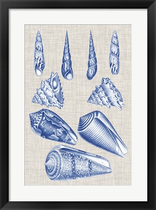 Framed Navy &amp; Linen Shells VI Print