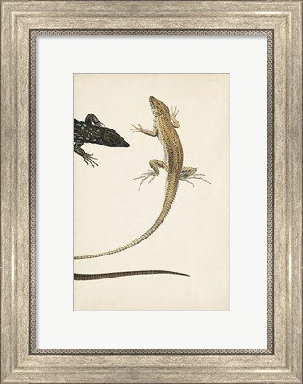 Framed Lizard Diptych II Print