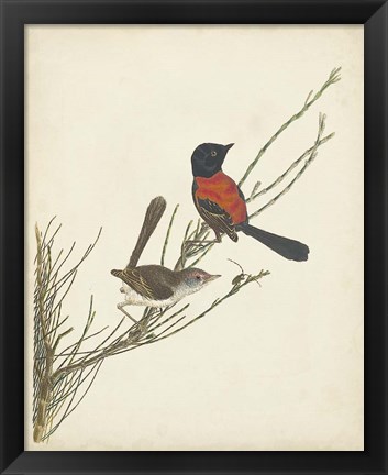 Framed Graceful Birds III Print