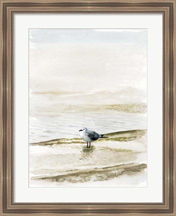 Framed Coastal Gull II Print