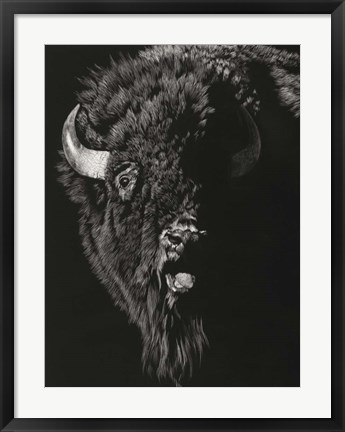 Framed Wild Scratchboard IV Print