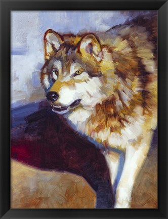 Framed Wolf Study II Print