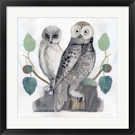 Framed Traditional Owls I Print