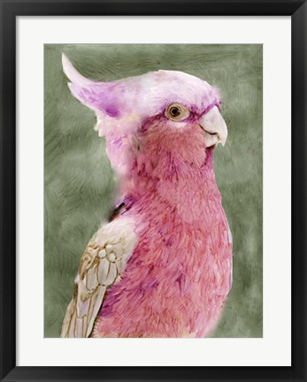 Framed Palm Springs Parrot I Print