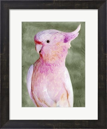 Framed Palm Springs Parrot II Print
