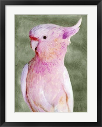 Framed Palm Springs Parrot II Print