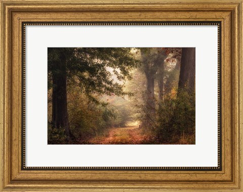 Framed Autumn&#39;s Walk II Print