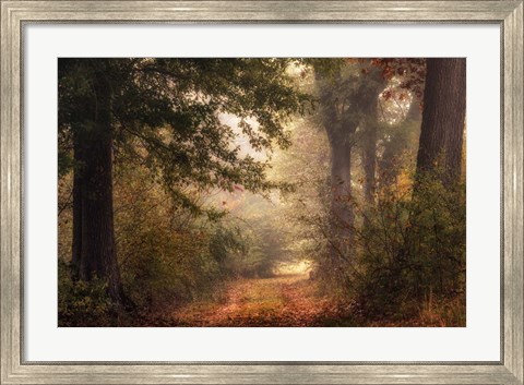 Framed Autumn&#39;s Walk II Print