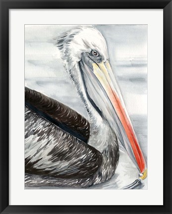 Framed Grey Pelican I Print