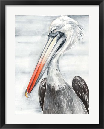 Framed Grey Pelican II Print