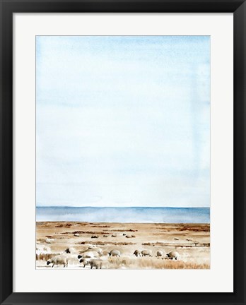 Framed Scottish Ewes I Print