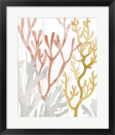 Framed Desert Coral I Print