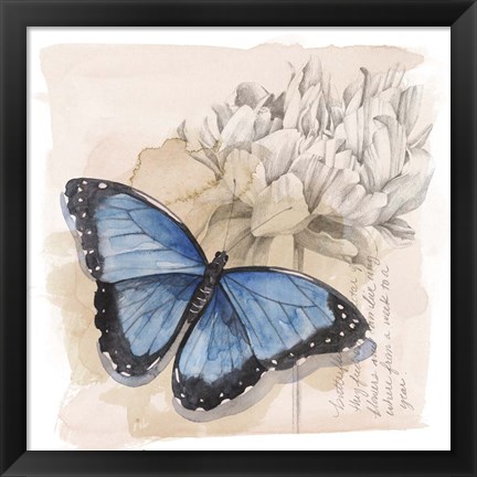 Framed Shadow Box Butterfly II Print