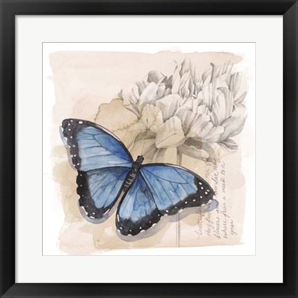 Framed Shadow Box Butterfly II Print