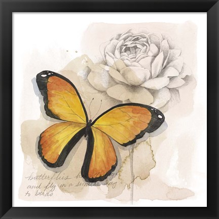 Framed Shadow Box Butterfly IV Print