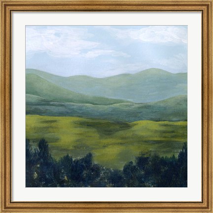 Framed Open Valley I Print