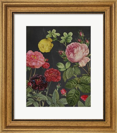 Framed Redoute&#39;s Bouquet II Print