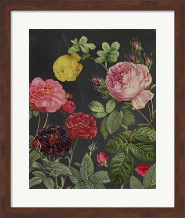 Framed Redoute&#39;s Bouquet II Print