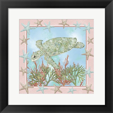 Framed Coastal Life II Print