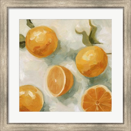 Framed Fresh Citrus IV Print