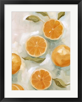 Framed Fresh Citrus VI Print