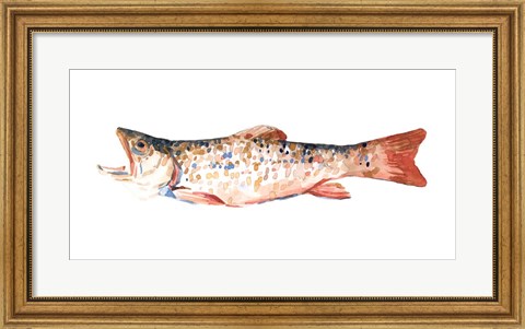 Framed Freckled Trout I Print